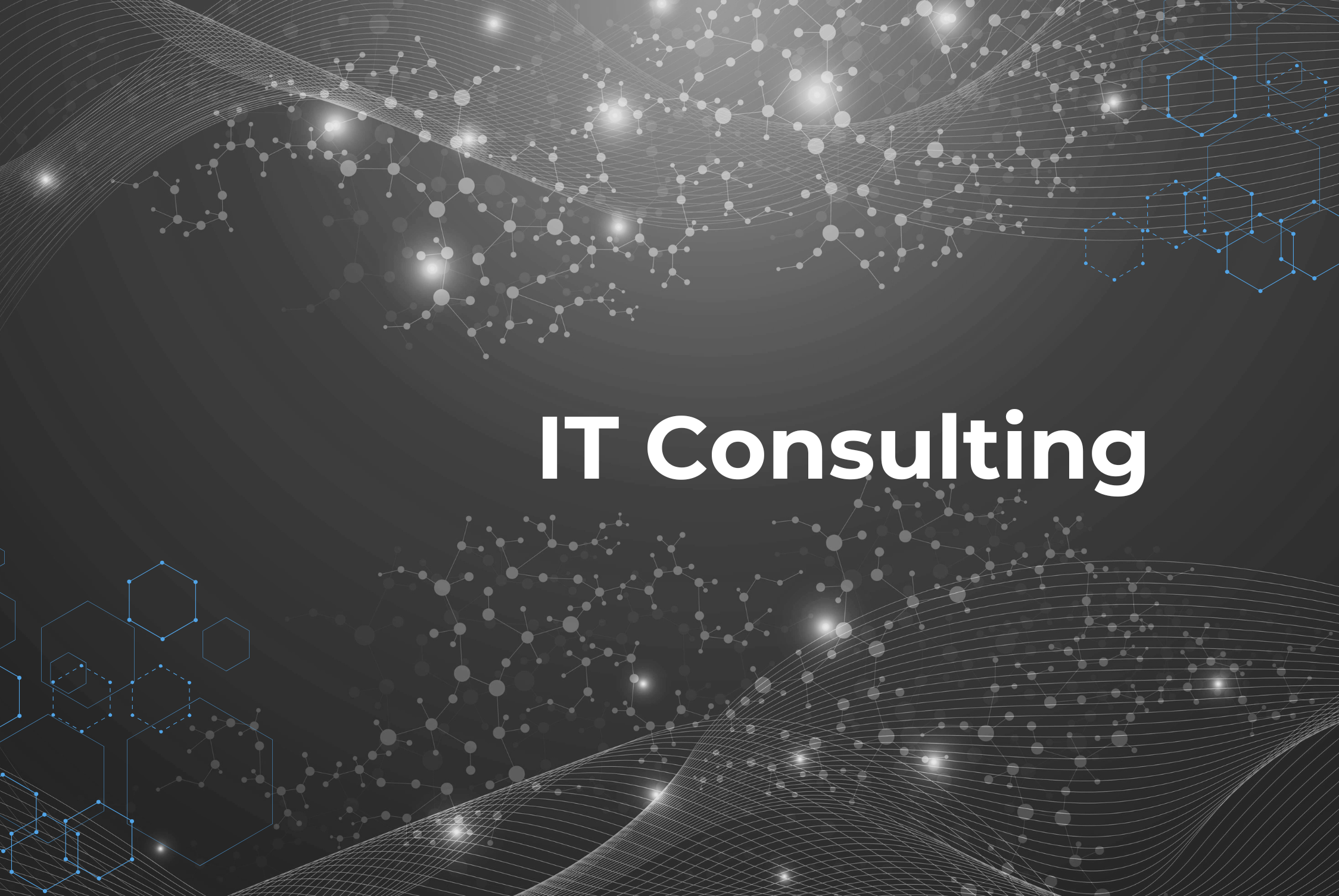 IT Consulting